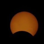 sofi tenerife nov 2013