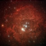 130201_ngc2244_rosette_nebula_peter_remmel
