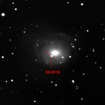 20110201_sn_peterr_01