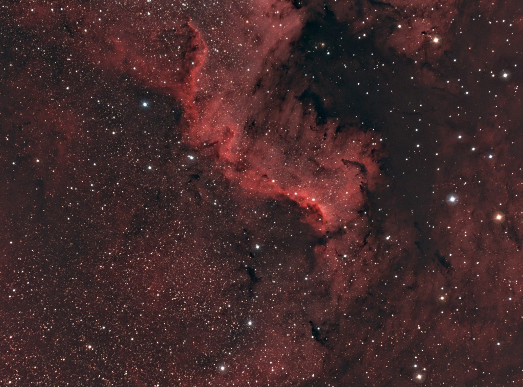 NGC7000_Cygnus_Wall_Peter_Remmel_neu_bearbeitet2-2