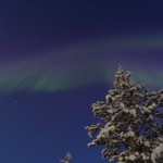 24334586490_545501cfab_o