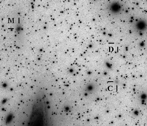 Mit "D" ist die bisher unbekannte Zwerggalaxie gekennzeichnet. Beim Zwerg "M" erkennt man die Sternenstrröme Richtung NGC7331