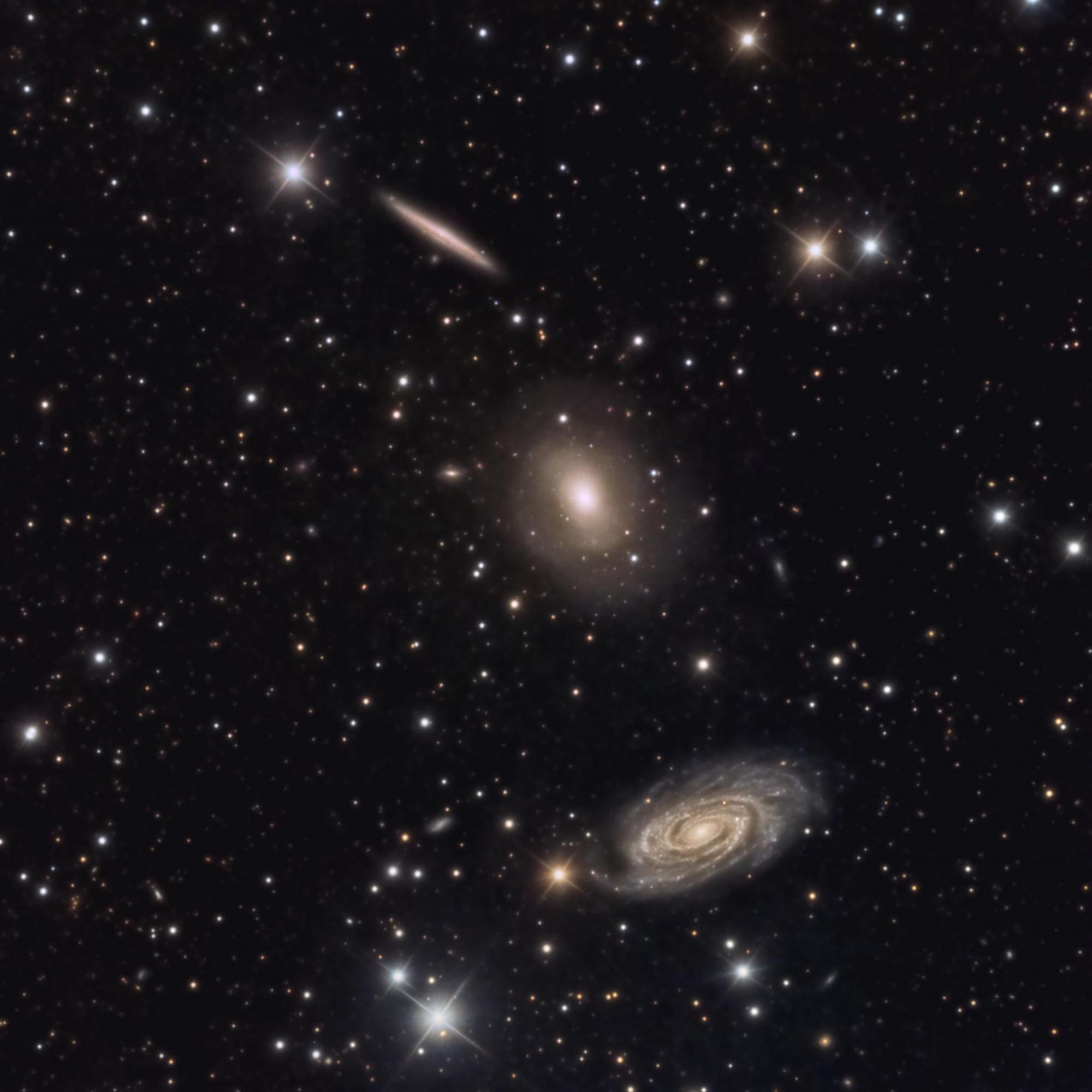 Frank Weidenbusch Frank Weidenbusch