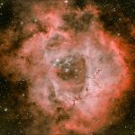 NGC 2244, Rosettennebel